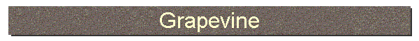 Grapevine